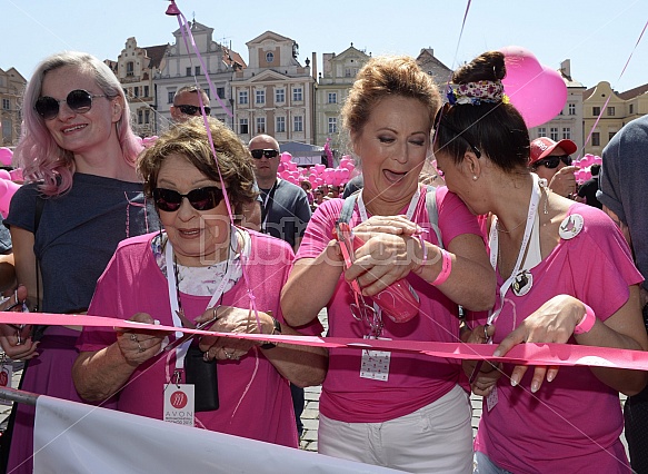 Avon 2015 pochod Absolonova Stasova Pazderkova Filipova Partysova Bohdalova Sipkova Bocanova Etzler Avon 2015 pochod Absolonova Stasova Pazderkova Filipova Partysova Bohdalova Sipkova Bocanova Etzler