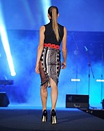 Lucerna Alzheimr, Domanska, Budkova, Prochazkova, Leova, Vojtek R. Kratochvilova, Ondrej Ruml, Maria